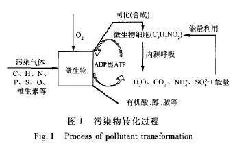 RTO,RTO焚烧炉,蓄热式焚烧炉